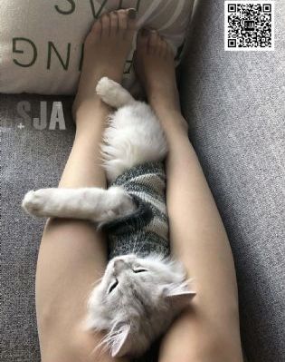 真田丸 电视剧_国产剧最新电影在线观看